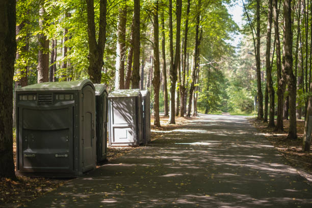 Best Deluxe Portable Toilet Rental  in Artesia, NM