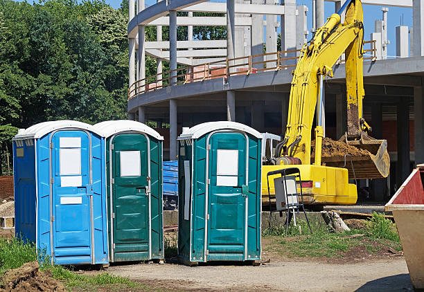 Best Portable Toilets with Baby Changing Stations  in Artesia, NM